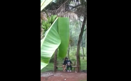 Latest Hits Viral Indo Bocil Aku Rela Jadi Pembawa Surat